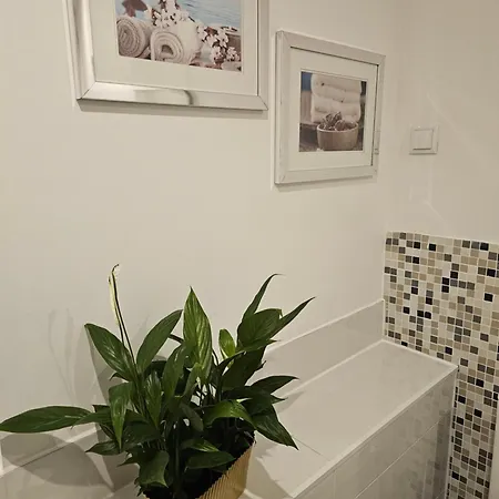 Lägenhet Alfama Secret